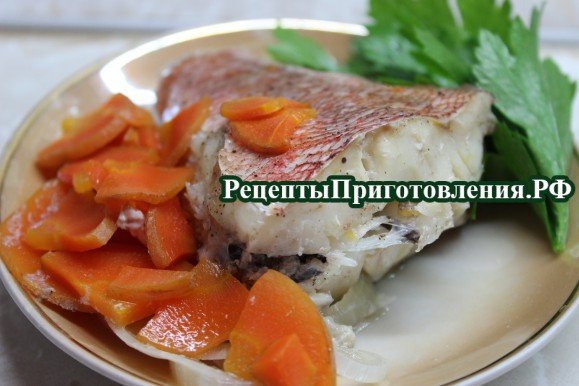 Красный морской окунь в духовке с овощами