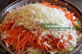К капусте с курицей и морковью добавить шинкованный репчатый лук К капусте с курицей и морковью добавить шинкованный репчатый лук