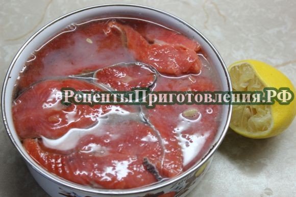 Вторую половину семги выложить верхним слоем распределив кусочки рыбы плотно друг к другу и полить соком лимона